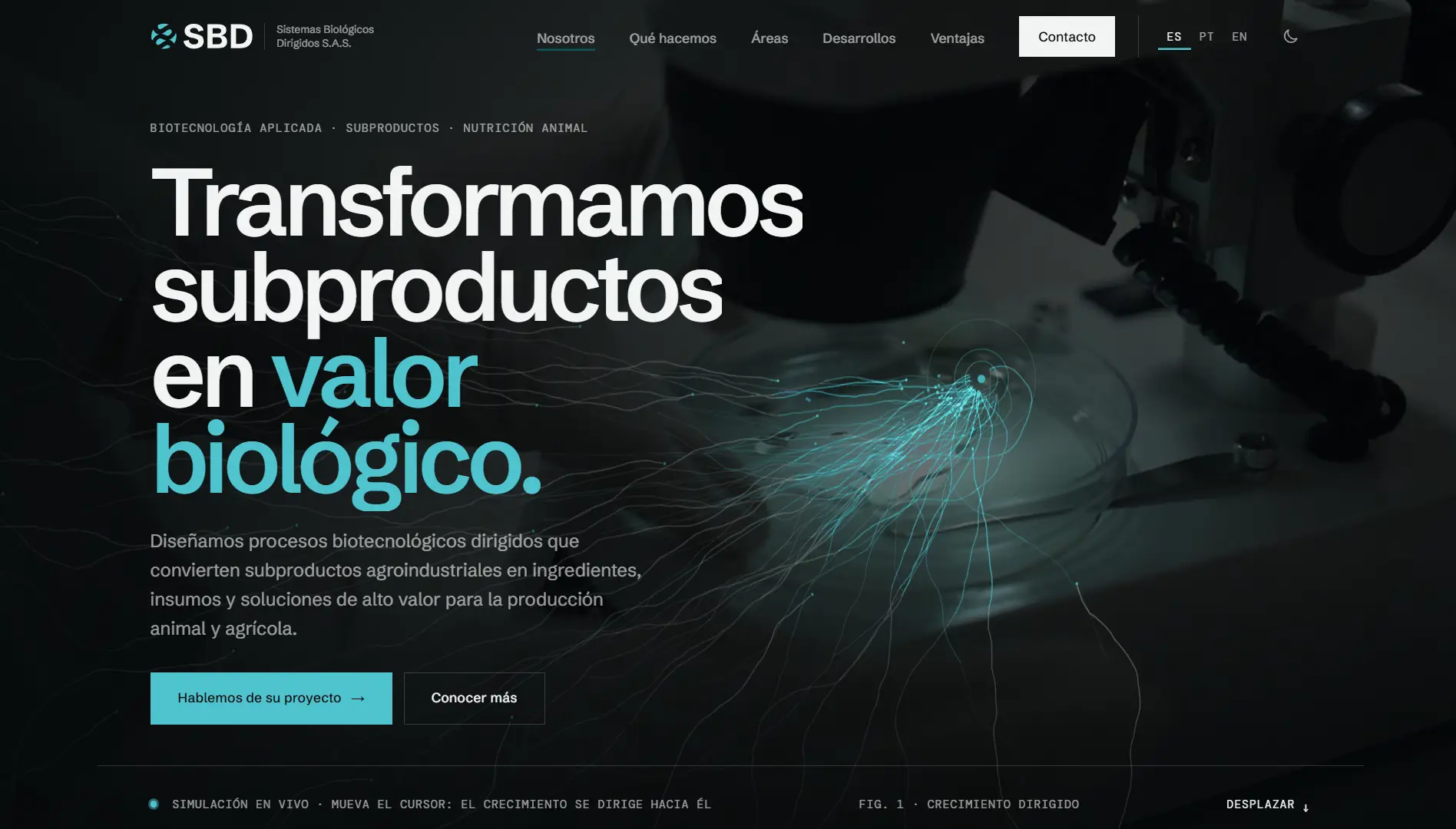 Sitio web de SBD Consultora